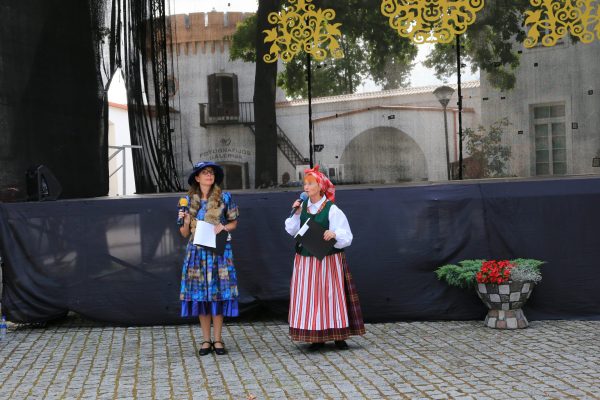 IMG_6490 IMG_6490