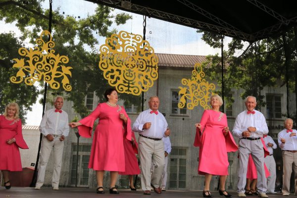 IMG_6514 IMG_6514