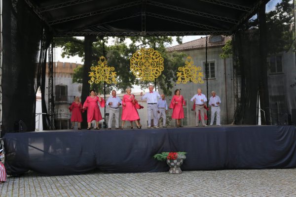 IMG_6518 IMG_6518