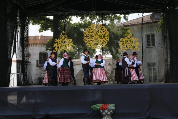 IMG_6528 IMG_6528