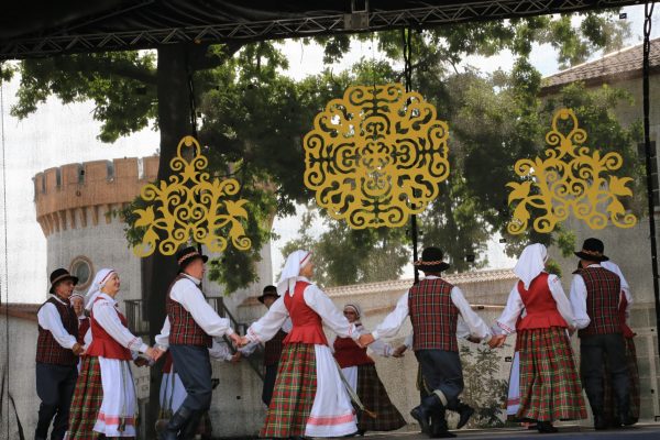 IMG_6534 IMG_6534