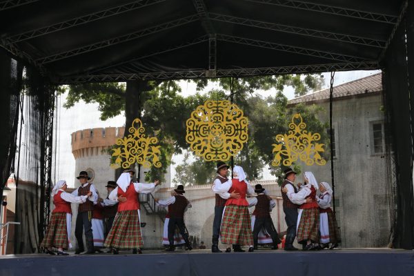 IMG_6535 IMG_6535
