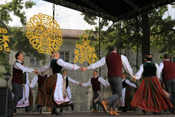 IMG_6545 IMG_6545