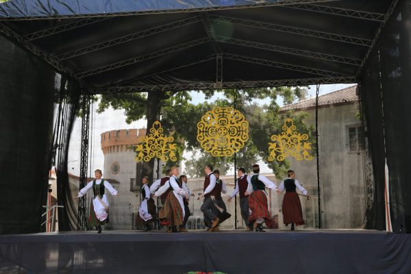 IMG_6550 IMG_6550