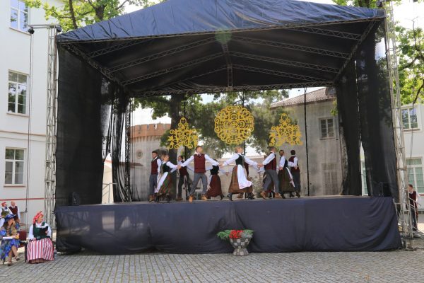 IMG_6551 IMG_6551