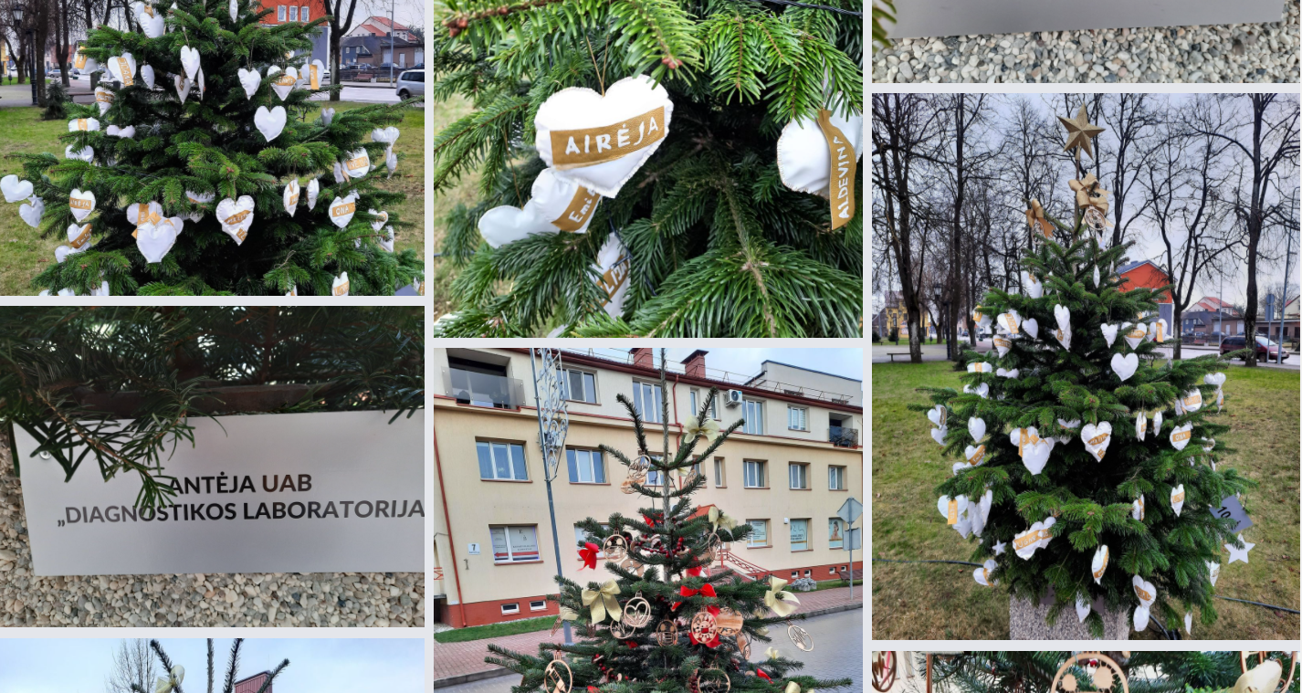 2020-12-03 Tauragės Bažnyčių gatvėje papuoštos šventinės EGLUTĖS