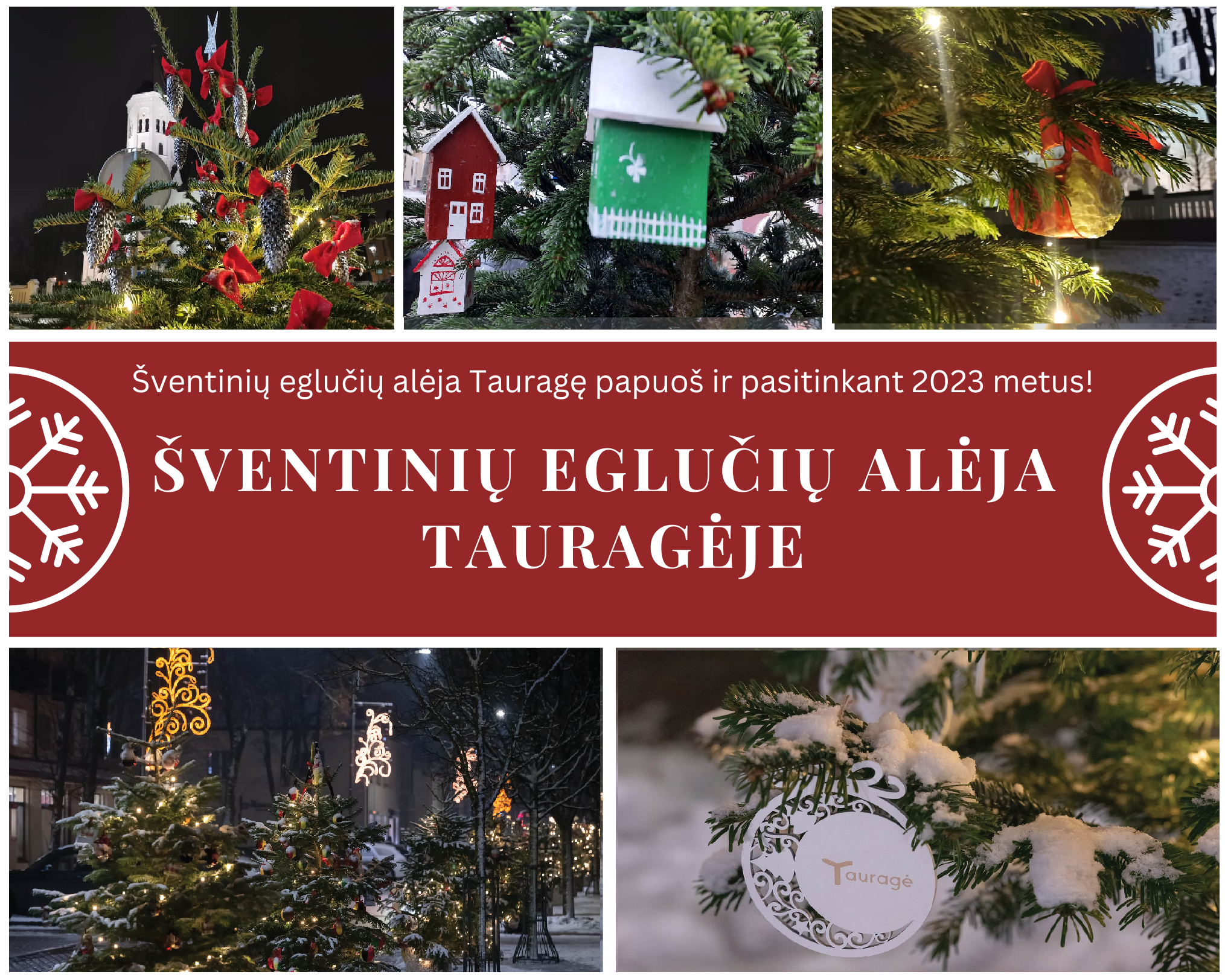 2022-11-07 Kviečiame prisijungti kartu puošiant šventinę eglučių alėją!