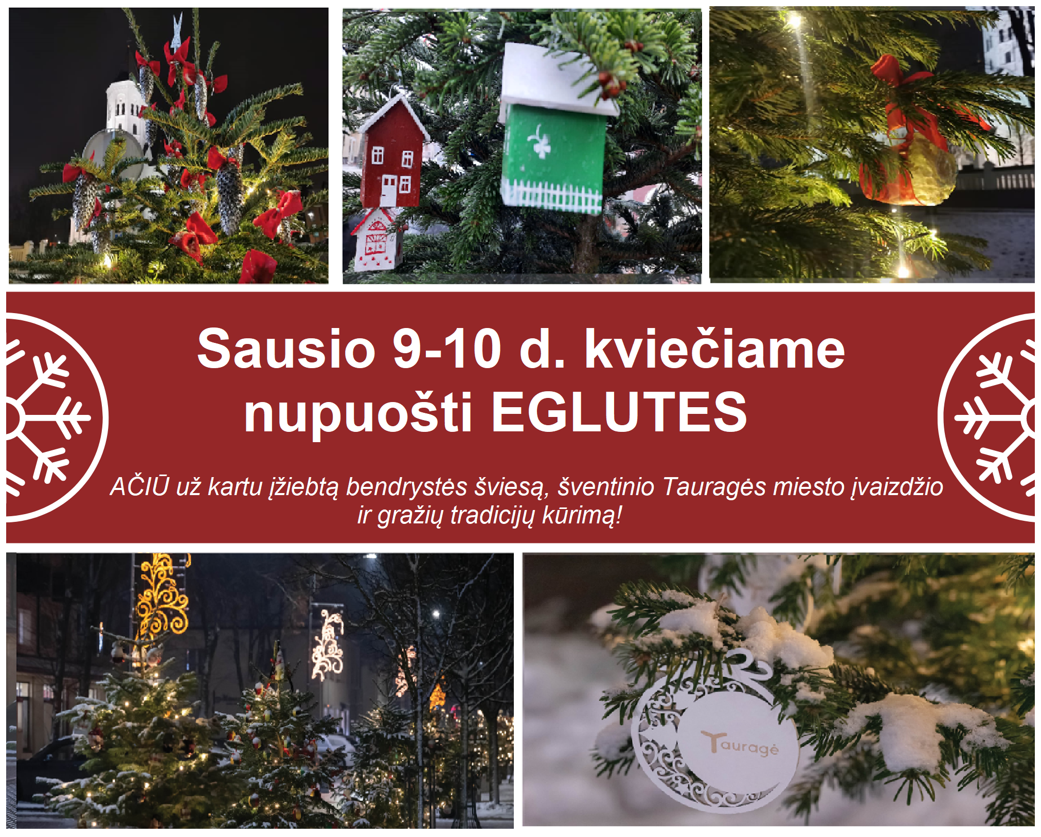 Atėjo metas atsisveikinti su šventinių EGLUČIŲ alėja