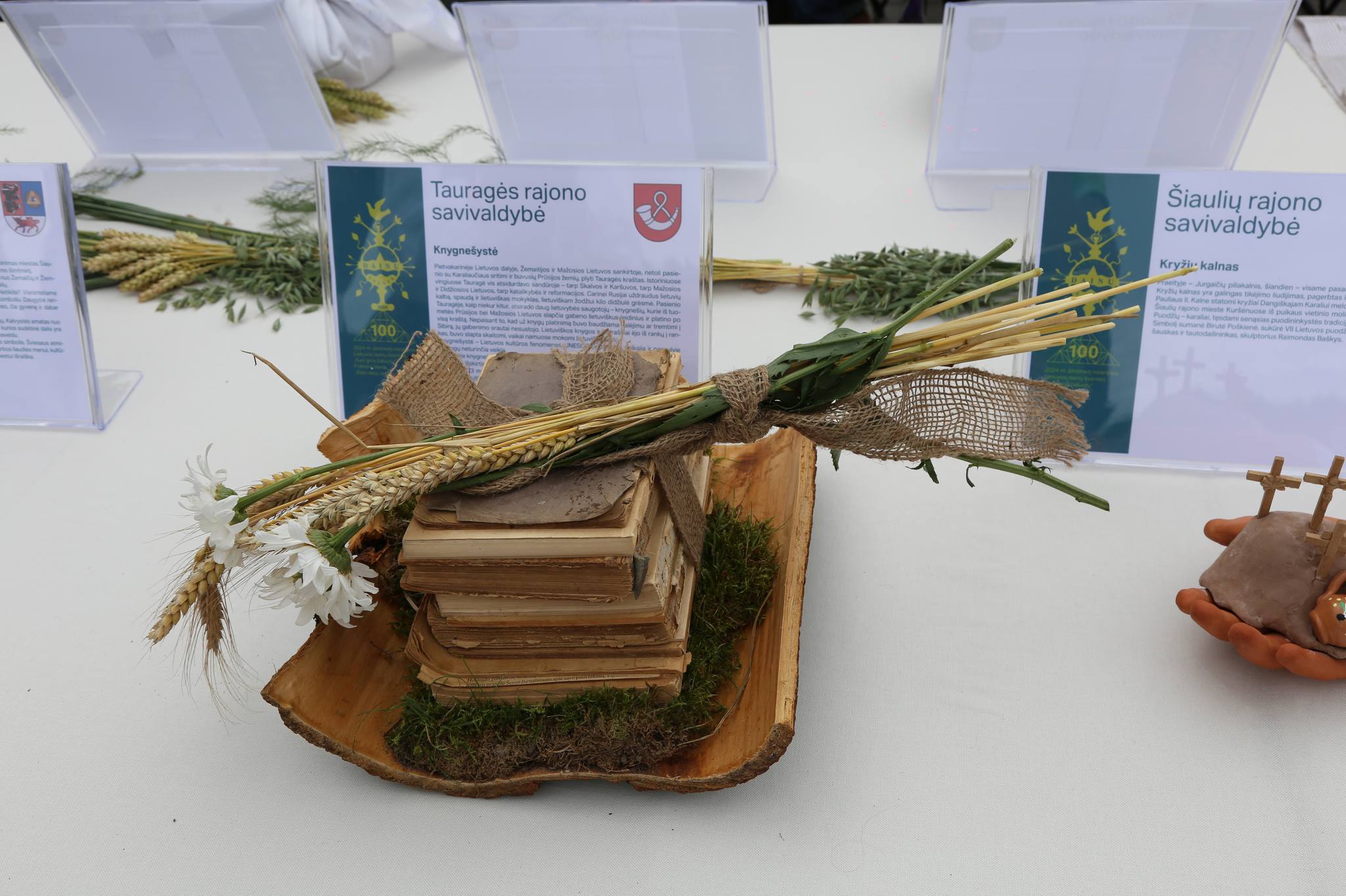 2024-07-02 Dainų šventės Folkloro diena