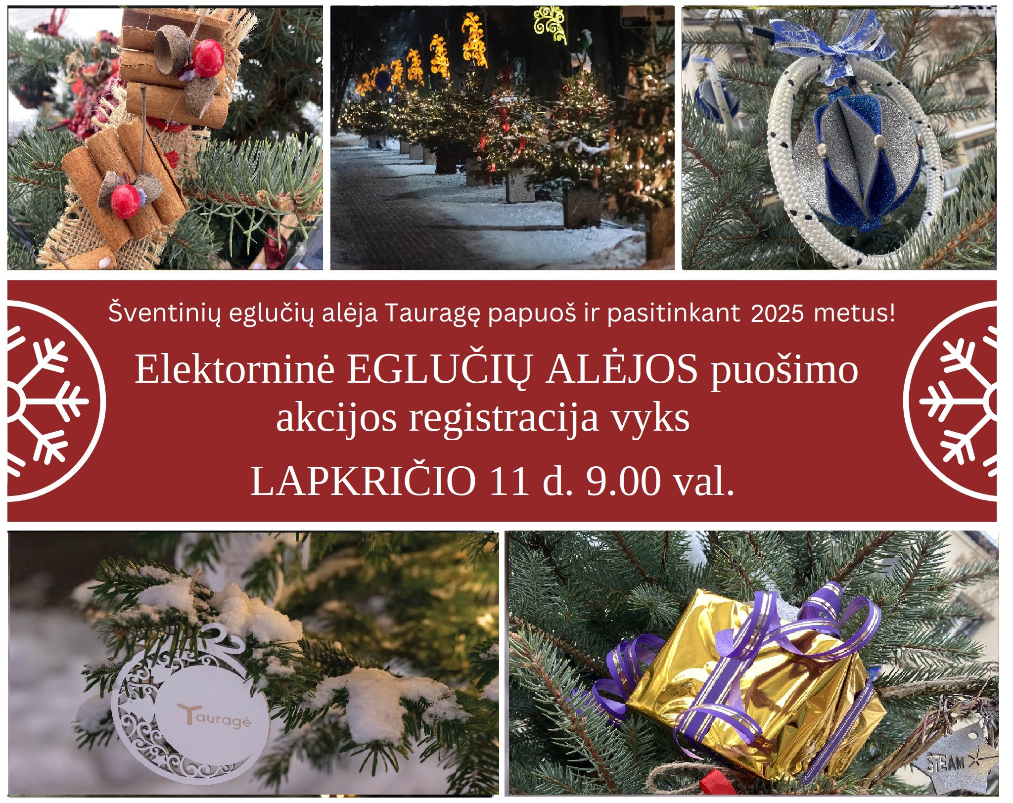 2024-10-30 Šventinių eglučių alėja Tauragėje – elektroninė REGISTRACIJA startuos jau 𝐋𝐀𝐏𝐊𝐑𝐈𝐂̌𝐈𝐎 𝟏𝟏 𝐝. 𝟗.𝟎𝟎 𝐯𝐚𝐥.