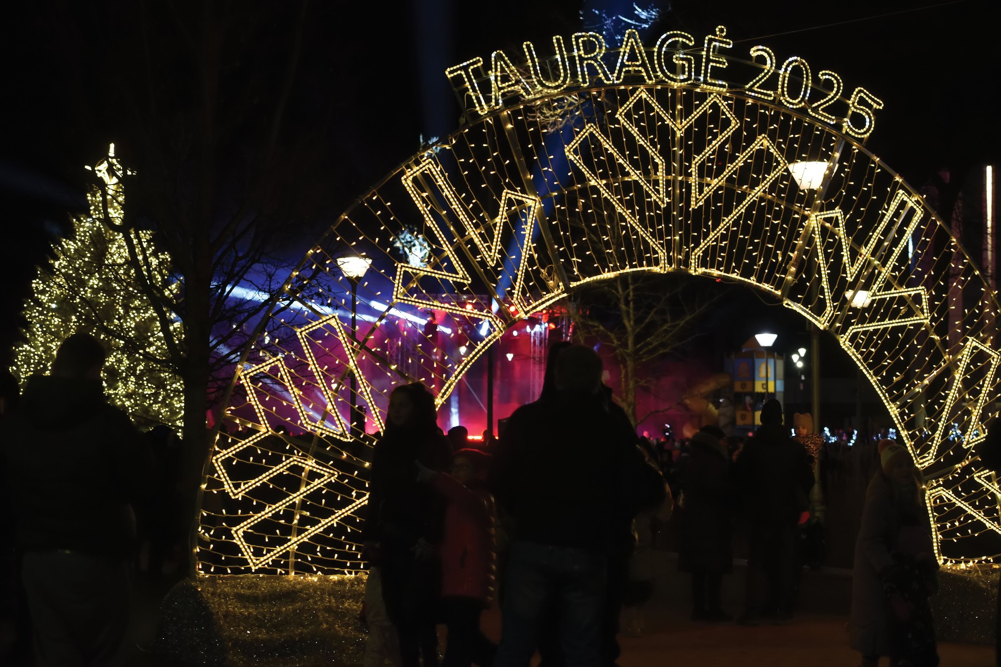 2024-12-06 Tauragėje, Pilies aikštėje įžiebta KALĖDŲ eglė