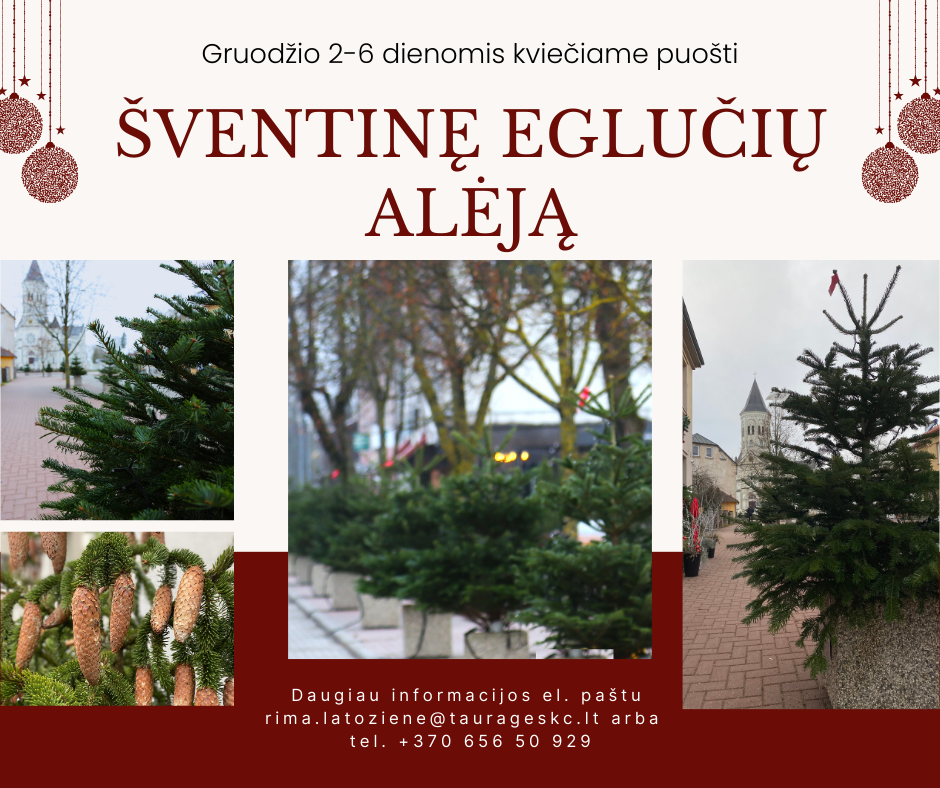 2024-12-04 Kviečiame puošti šventinę eglučių alėją